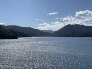 Neuseeland Fähre